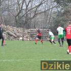 zdjęcie nr 43