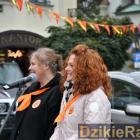 zdjęcie nr 13