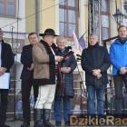 zdjęcie nr 224