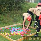 zdjęcie nr 125