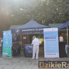 zdjęcie nr 117