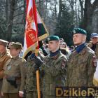 zdjęcie nr 43