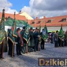 zdjęcie nr 24