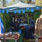 Fotka nr 1 z 12