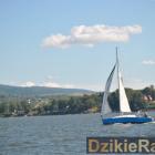 zdjęcie nr 54