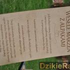 zdjęcie nr 123