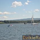 zdjęcie nr 49