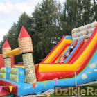 zdjęcie nr 311