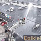 Fotka nr 4 z 5