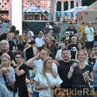 zdjęcie nr 199