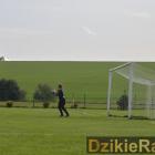 zdjęcie nr 34
