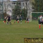 zdjęcie nr 8
