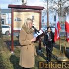 zdjęcie nr 16