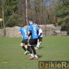 zdjęcie nr 12