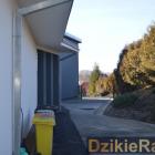 zdjęcie nr 51