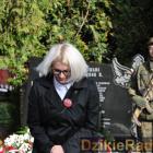 zdjęcie nr 222