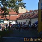 zdjęcie nr 81