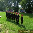 zdjęcie nr 11