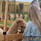 zdjęcie nr 109