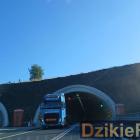 zdjęcie nr 11