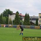 zdjęcie nr 47