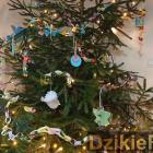 zdjęcie nr 44