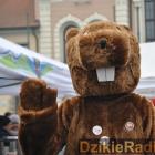 zdjęcie nr 77