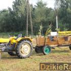 zdjęcie nr 280