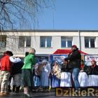 Fotka nr 1 z 228