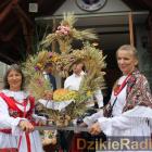zdjęcie nr 
