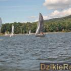 zdjęcie nr 229