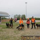 zdjęcie nr 8