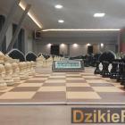 zdjęcie nr 45