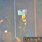 zdjęcie nr 31