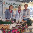 zdjęcie nr 360