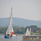 zdjęcie nr 161