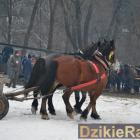 zdjęcie nr 107