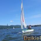 zdjęcie nr 171