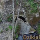Fotka nr 5 z 15