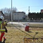 zdjęcie nr 174