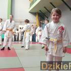 zdjęcie nr 108