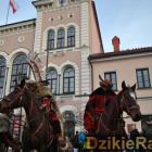 zdjęcie nr 124