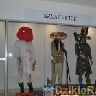 zdjęcie nr 8