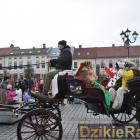 zdjęcie nr 416