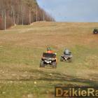zdjęcie nr 87