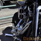zdjęcie nr 74