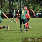 zdjęcie nr 16