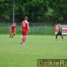 zdjęcie nr 14