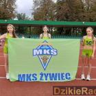 Fotka nr 5 z 7