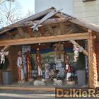 Fot. Dzikieradio